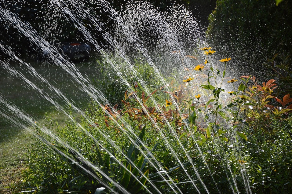 Woda deszczowa może być wykorzystana do nawadniania ogrodu